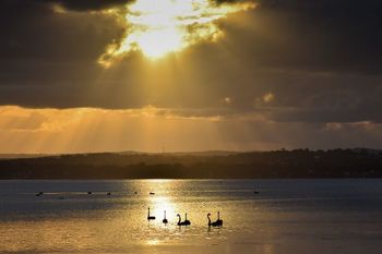 Diamond Lake House - South Australia Travel 4