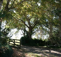 Maleny Mountain Retreat - South Australia Travel