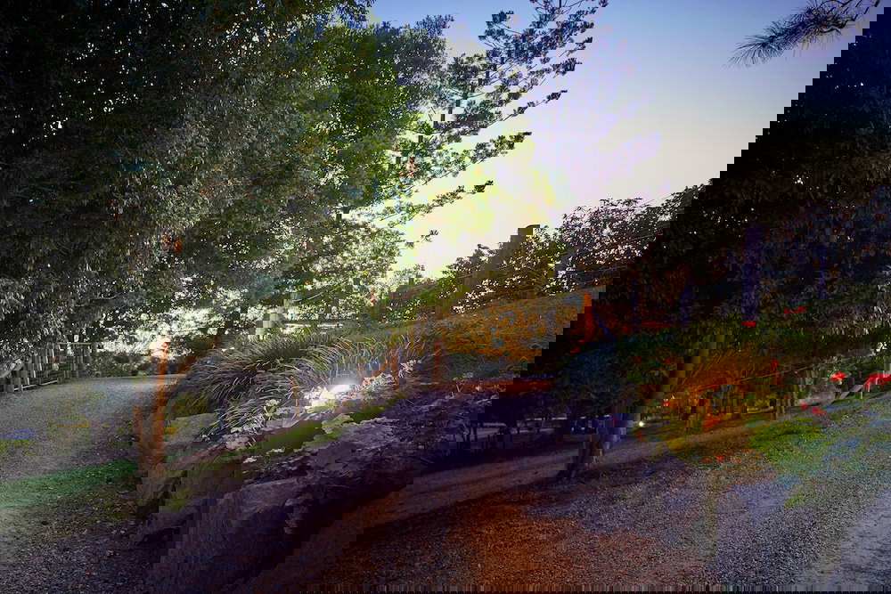 King Scrub QLD South Australia Travel