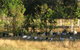 Armadale Farmstay Bed & Breakfast - thumb 5