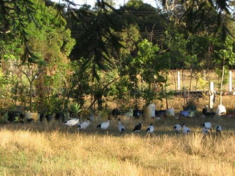 Armadale Farmstay Bed & Breakfast - South Australia Travel 5