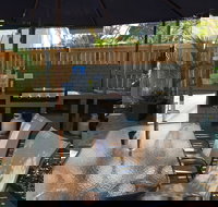 Coconut Palms On The Bay