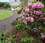 Anabels of Scottsdale