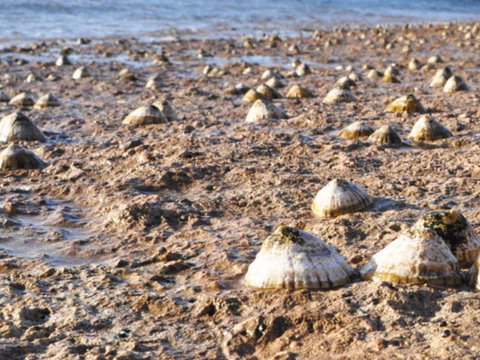 Port Lincoln Holiday Apartments - South Australia Travel 5