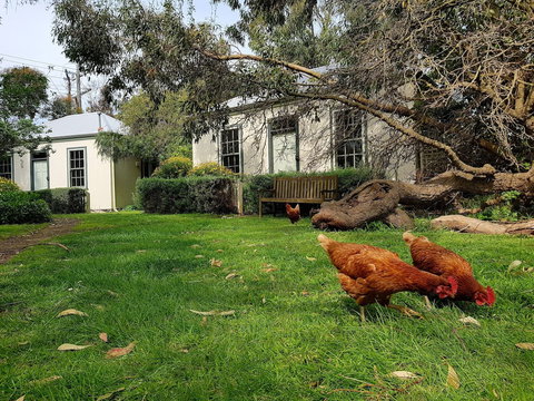 Clonmara Country House & Cottages - South Australia Travel 1