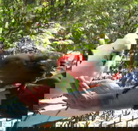 Lorne Bush House Cottages  Eco Retreats - South Australia Travel