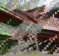 Barrington Wilderness Cedar Lodge Accommodation