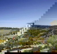 Morning Sun Vineyard