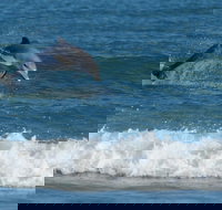 Summerhills Retreat Byron Bay - South Australia Travel