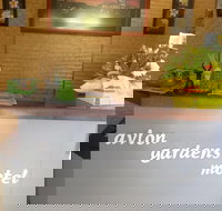 Avlon Gardens Motel - Ballina