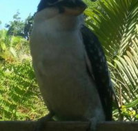 Tropic Oasis Holiday Villas - South Australia Travel