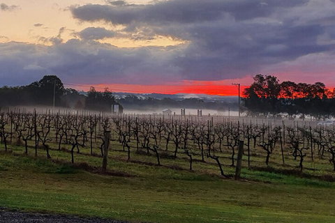 Adina Vineyard - South Australia Travel 4