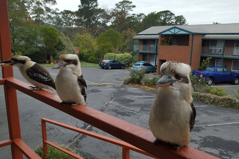 Hepburn Springs Motor Inn - South Australia Travel 6