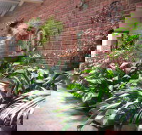 Edge of the Forest - South Australia Travel