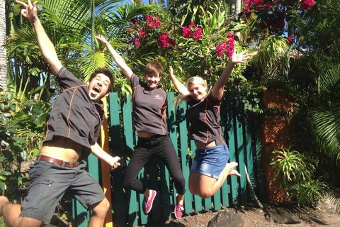 JJs Backpackers Hostel - South Australia Travel 6