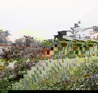 A Must At Coonawarra