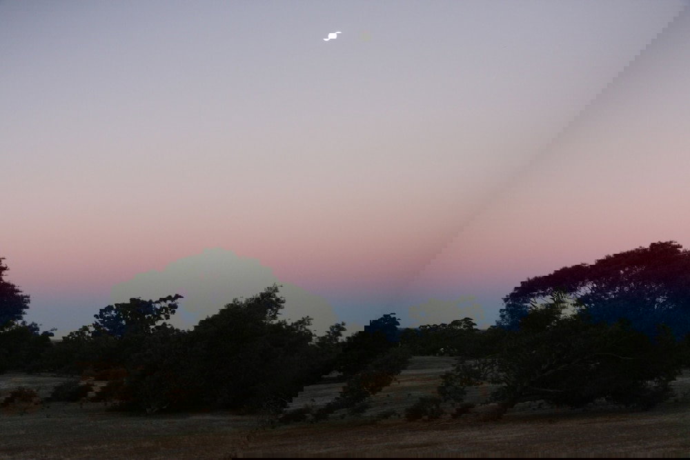 Pomonal VIC South Australia Travel