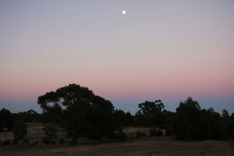Boroka Downs - South Australia Travel 0