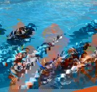 Warrnambool Motel and Holiday Park - South Australia Travel