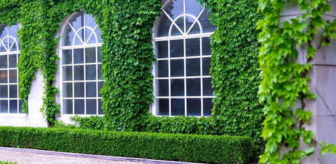 Milton Park Country House Hotel & Spa - South Australia Travel 0