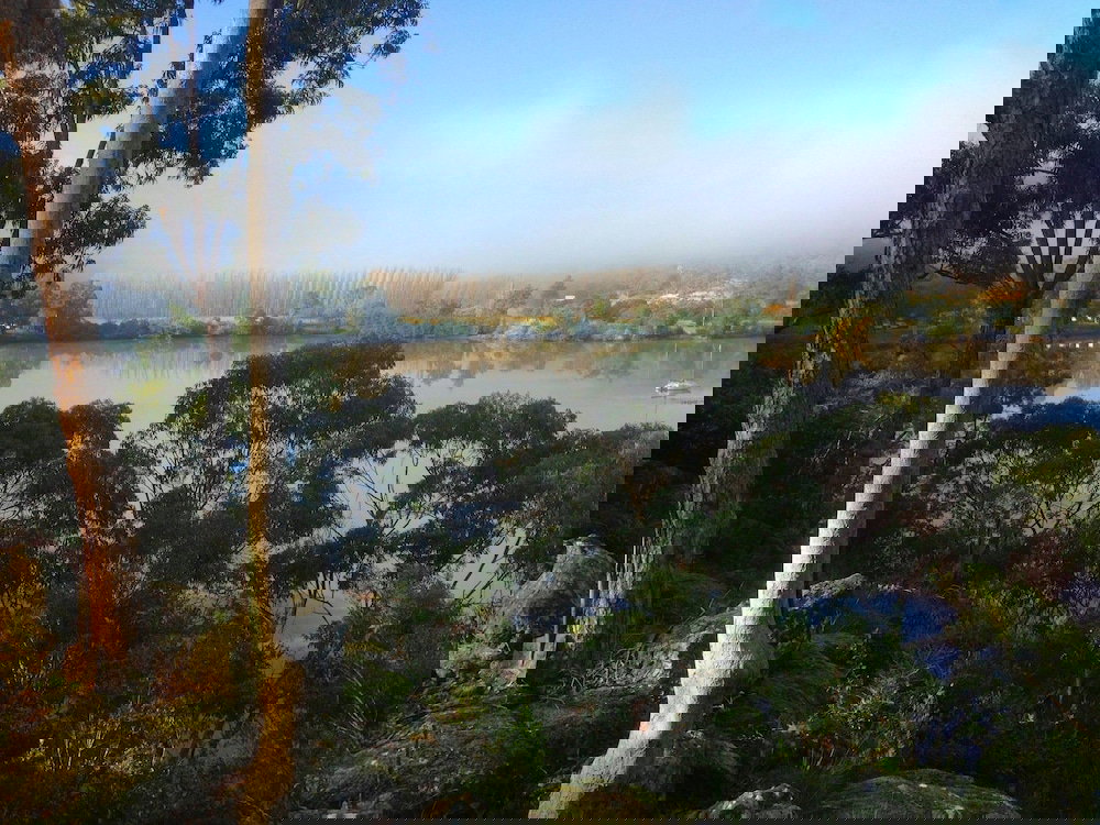 Lower Portland NSW South Australia Travel