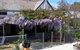 Langford House B & B - thumb 1