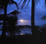 Sejala Beach Huts - South Australia Travel