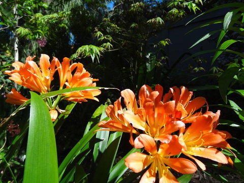 The Gallery Accommodation McCrae - South Australia Travel 5