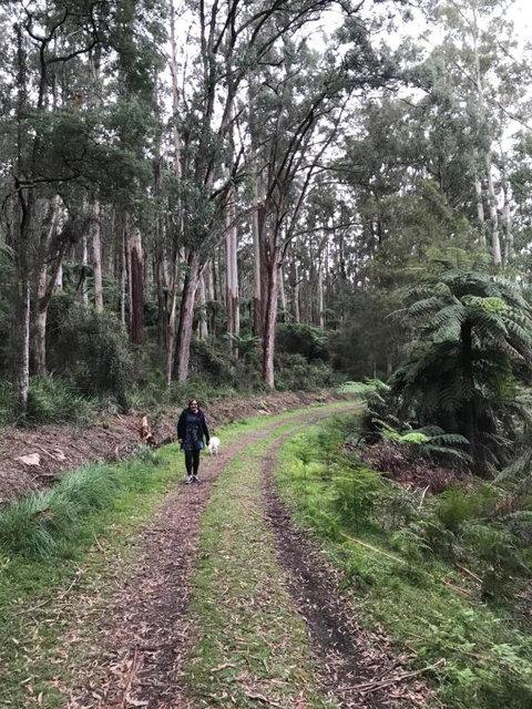 Warburton Holiday House - South Australia Travel 3