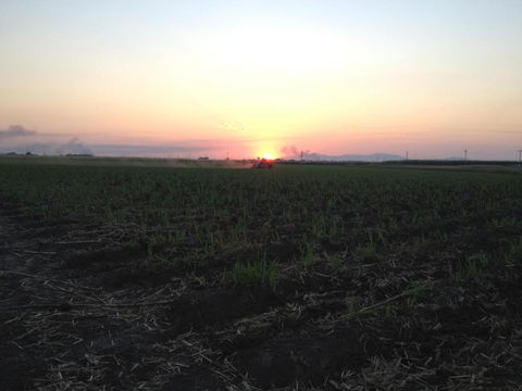 Plantation Park Motor Inn - South Australia Travel 5