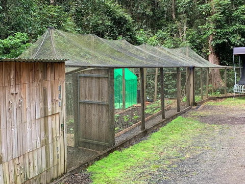 Figtree Getaway - South Australia Travel 6