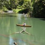 Figtree Getaway - South Australia Travel 0