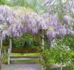 Amelina Cottages - South Australia Travel