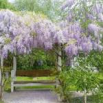 Amelina Cottages - South Australia Travel 0