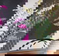 Birdie - South Australia Travel