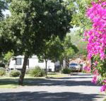 BIG 4 Hay - South Australia Travel