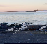 Hilton Motel - South Australia Travel