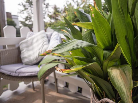 Cottage 79 - South Australia Travel 5