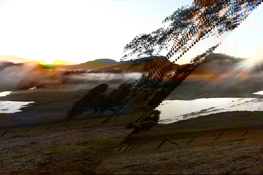 Cambroon QLD South Australia Travel