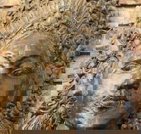 Ballina Palms Boutique Motel