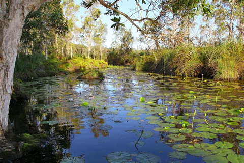 Salamander Bay Bed & Breakfast - South Australia Travel 3