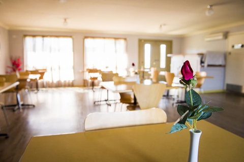 Cherry Blossom Motel - South Australia Travel 1