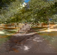 Glencoe Country BB - South Australia Travel