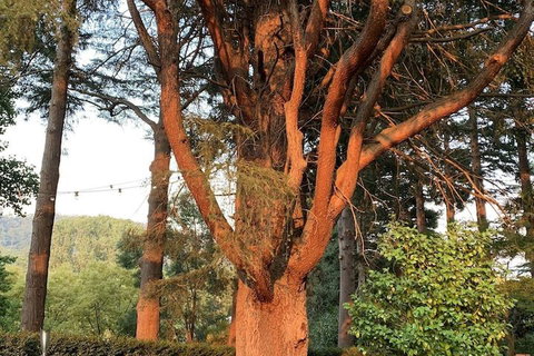 Warburton Motel - South Australia Travel 3