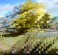 Bairnsdale Main Motel - South Australia Travel