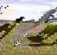 Taras Richmond Farmstay - South Australia Travel