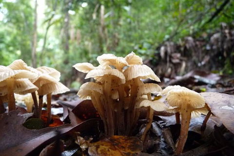 Bellthorpe Stays - South Australia Travel 3