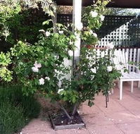 Ellesmere House - South Australia Travel