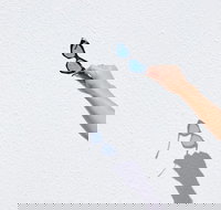 The Sails Motel Brunswick Heads