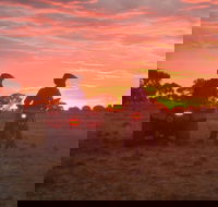 Corynnia Station - South Australia Travel